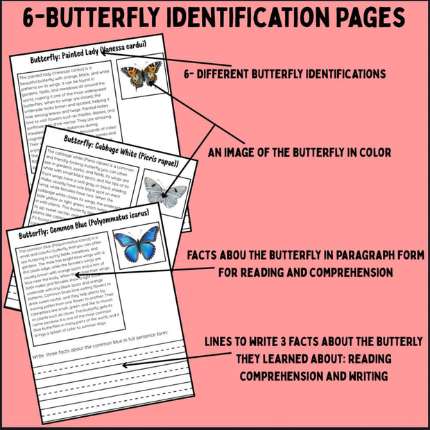 Butterfly life cycle and identification activity pack – 10-page printable science resource for kids with reading, writing, and sequencing worksheets