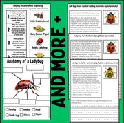 Ladybug life cycle and metamorphosis activity pack | 10-page printable science worksheets with identification cards and ladybug facts | homeschool and classroom resource