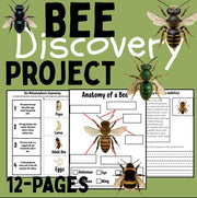 Bee life cycle activities for kids | 12-page printable project with sequencing, writing, reading comprehension, and bee identification worksheets | homeschool and classroom resource