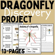 Dragonfly Life Cycle Activities & Worksheets | Science Unit with Sequencing, Anatomy, and Reading Comprehension