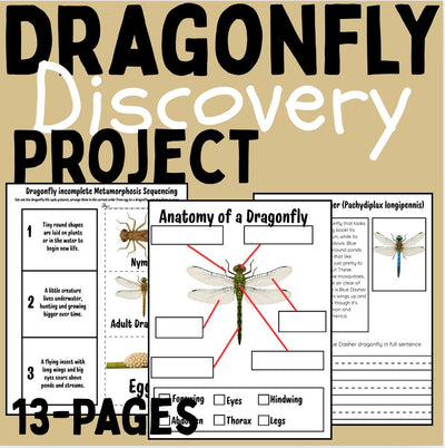 Dragonfly Life Cycle Activities & Worksheets | Science Unit with Sequencing, Anatomy, and Reading Comprehension