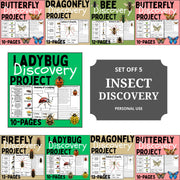 Insect Activity Bundle: Life Cycle Worksheets, Coloring Pages (Digital Download)