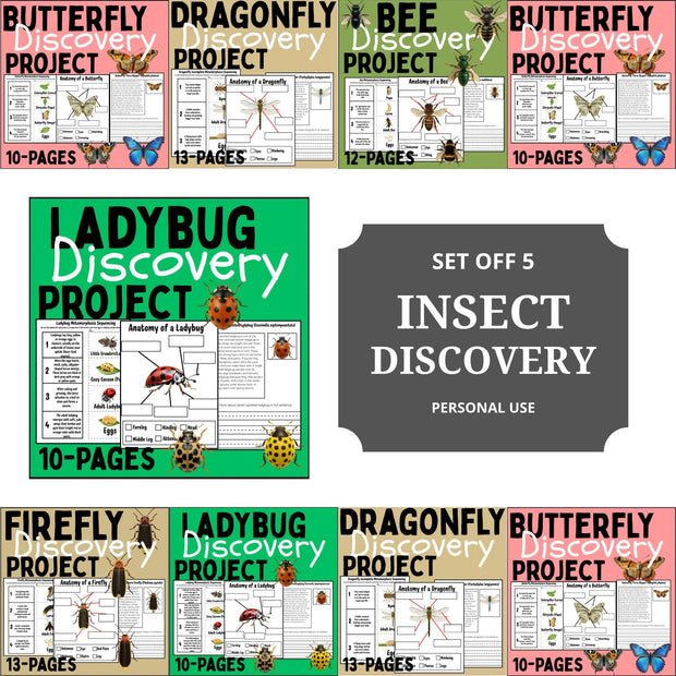 Insect Activity Bundle: Life Cycle Worksheets, Coloring Pages (Digital Download)