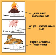 I See word tracing worksheets | alphabetical order vocabulary practice | printable reading and handwriting activity for kids | preschool and kindergarten literacy resource