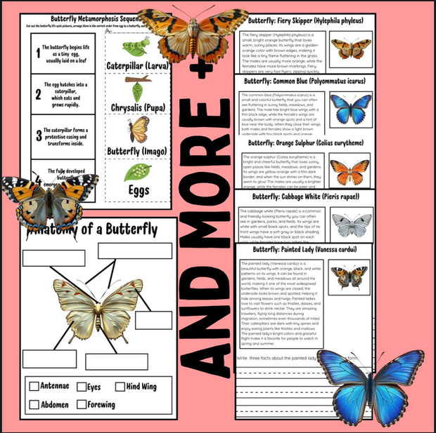 Butterfly life cycle and identification activity pack – 10-page printable science resource for kids with reading, writing, and sequencing worksheets