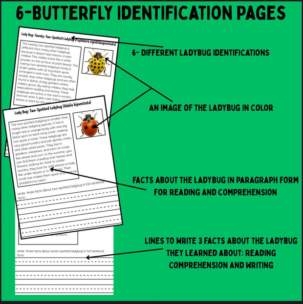 Ladybug life cycle and metamorphosis activity pack | 10-page printable science worksheets with identification cards and ladybug facts | homeschool and classroom resource