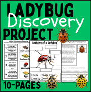 Ladybug life cycle and metamorphosis activity pack | 10-page printable science worksheets with identification cards and ladybug facts | homeschool and classroom resource
