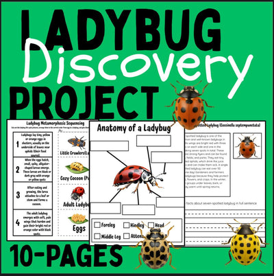 Ladybug life cycle and metamorphosis activity pack | 10-page printable science worksheets with identification cards and ladybug facts | homeschool and classroom resource