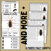 Firefly life cycle activity pack | insect science worksheets with firefly facts, sequencing cut and paste, and reading comprehension for kids | homeschool and classroom resource
