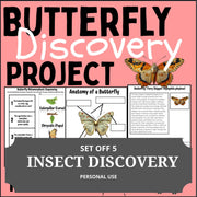 Insect Activity Bundle: Life Cycle Worksheets, Coloring Pages (Digital Download)