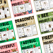 Insect Activity Bundle: Life Cycle Worksheets, Coloring Pages (Digital Download)