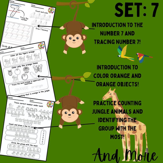 Jungle Animals Preschool Activity Pack | Set 7 | Printable Worksheets for Kids, Letters, Numbers & Colors